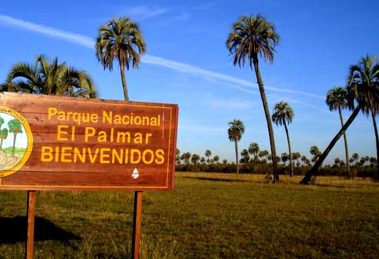 El Palmar